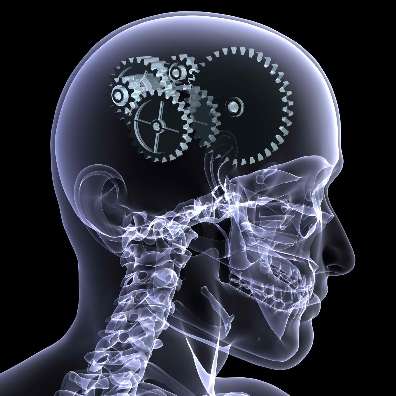 cognitive learning