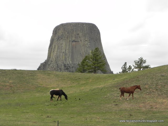Devils+tower+wyoming+close+encounters
