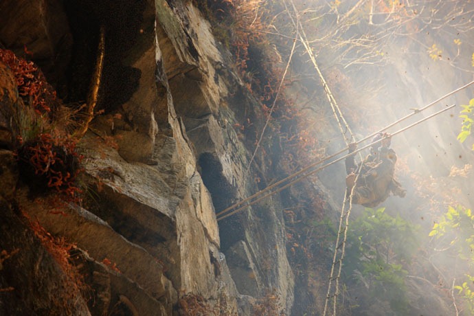 ����� �������