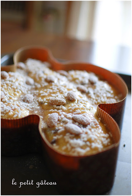 colomba con lievito naturale