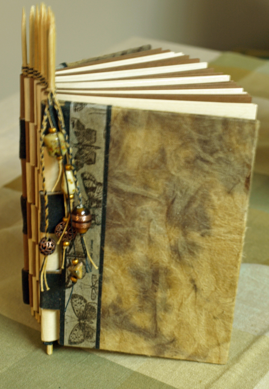 Dragonfly Dreamers Piano Hinge book