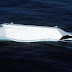 El Sea Shadow el barco invisible se subasta como chatarra.