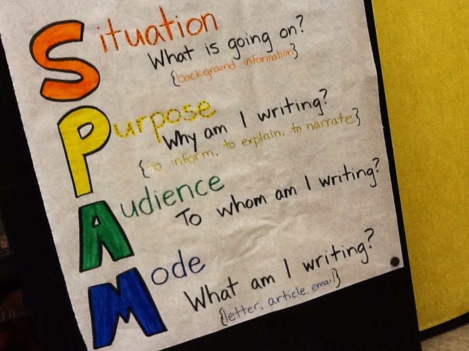 Spammy essay picture