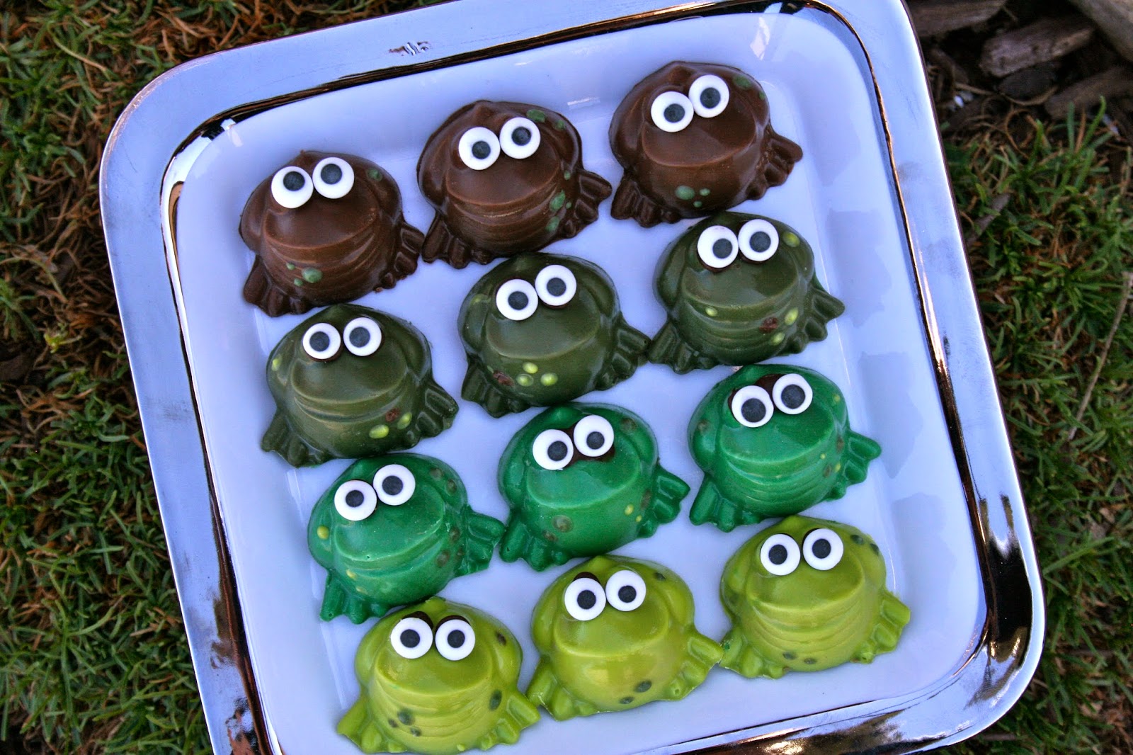 The Chocolate Spring Frogs
