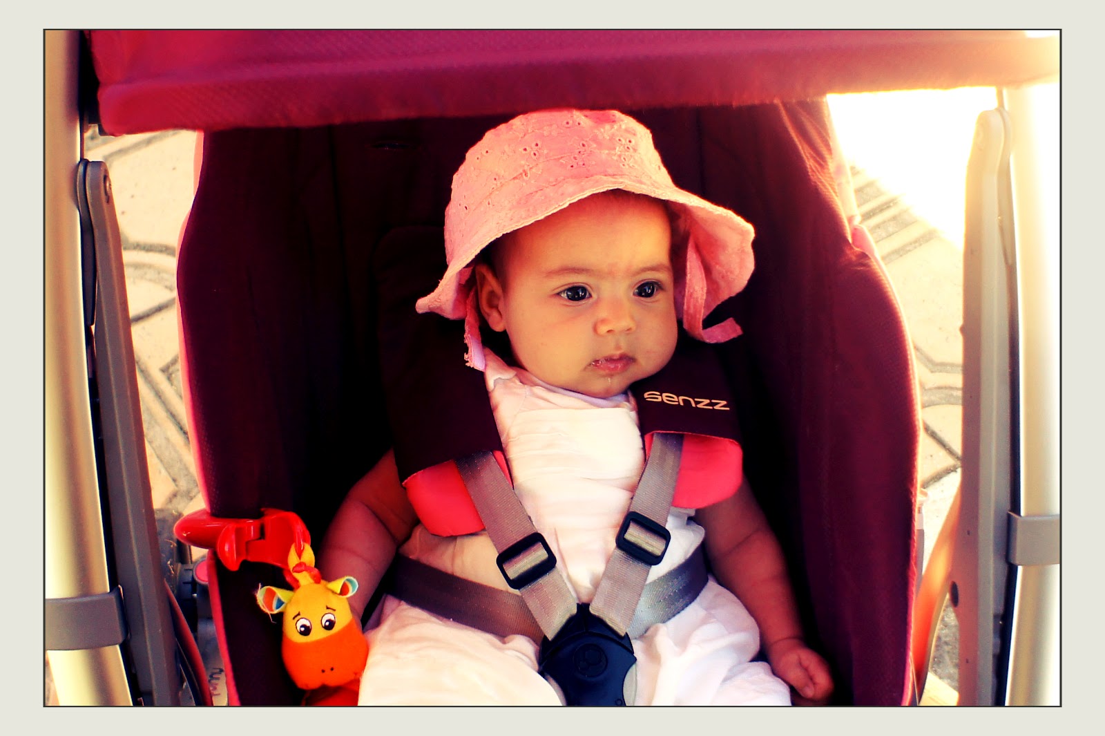 leyla ve ben Bebek Arabası ile İlk Gezi