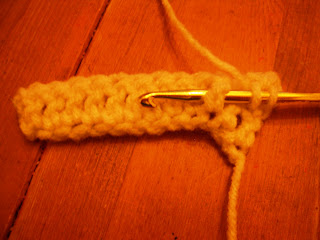 Crochet Parfait: FPDC