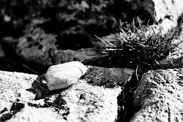 *Annchen - live aus meiner kleinen Welt* - 2013
