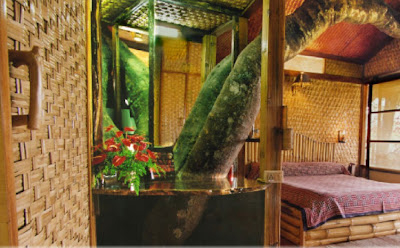 Tranquil resort in Kerala, tree house