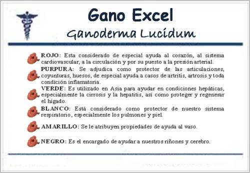 Mta Que Es El Gano Cafe Gano Excel De El Salvador