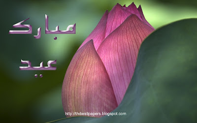 Pink Rose Eid-ul-Zuha Mubarak Wish Card Wallpapers in Urdu