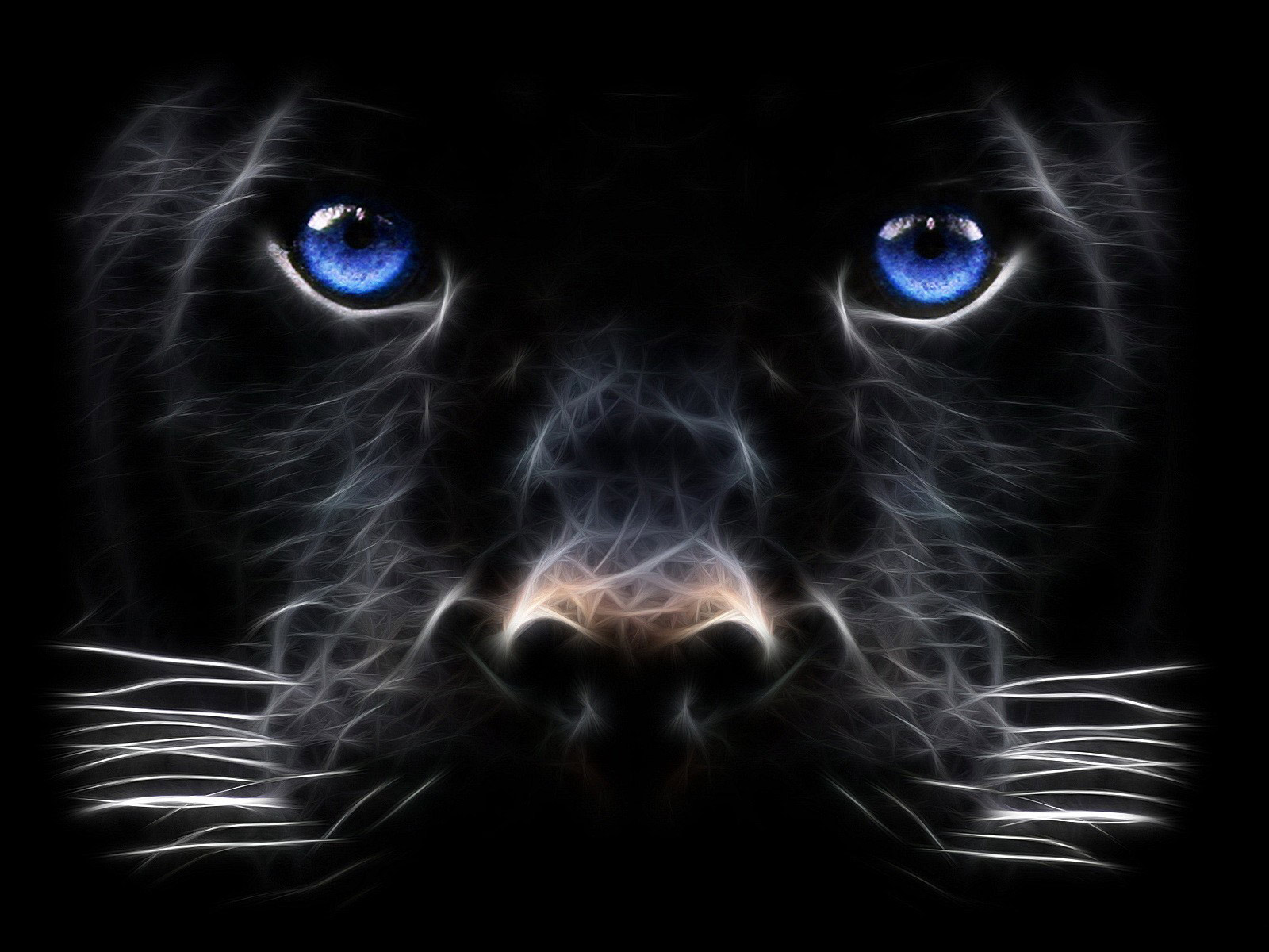 Free Wallpaper Black Wallpaper 3d