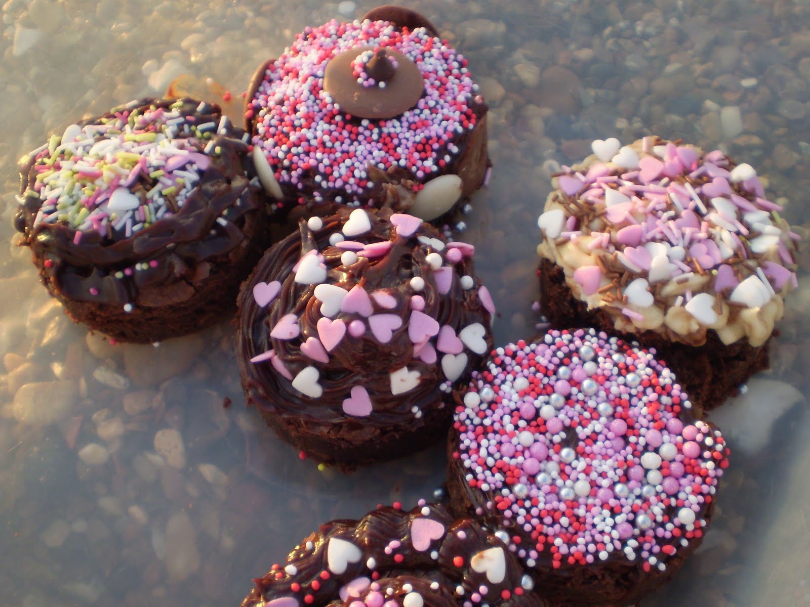 *Little Cottage Comforts* Holiday fun fabulous brownies on the beach