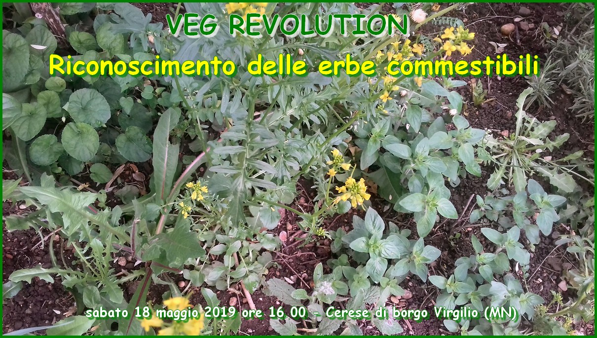 2° APPUNTAMENTO CON LA VEG REVOLUTION