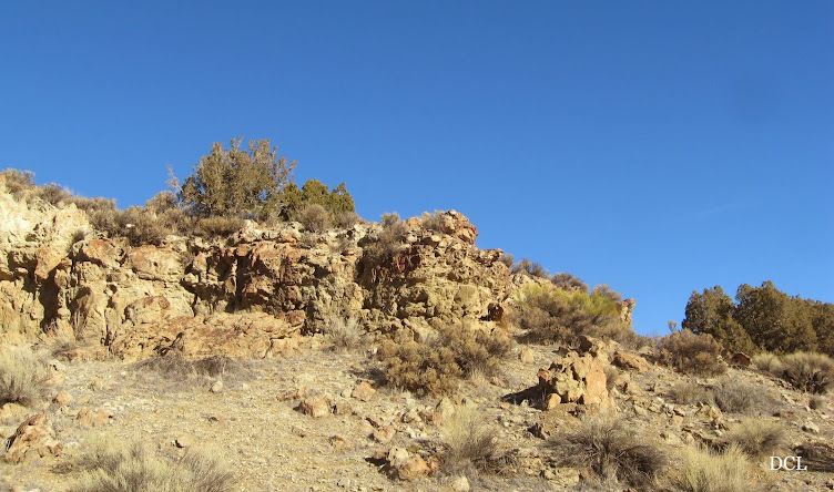 Desert Canyon Living