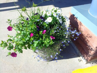 Floral containers were delivered to the Drumheller Health Centre by Mary Marshman.