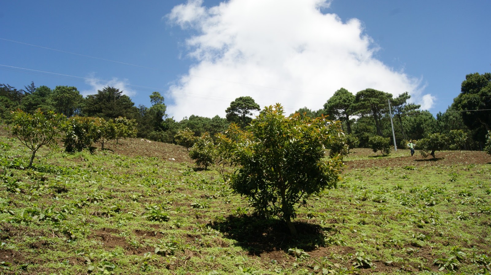 Venta de Terrenos en Miramundo Chalatenango El Salvador Venta Terrenos