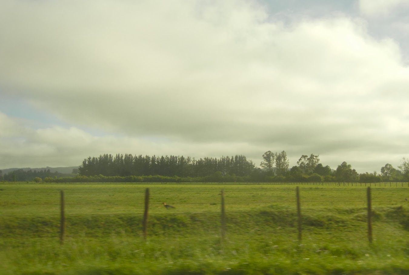 temuco single women Frommer's reviews the best attractions in temuco honeymoons senior single student women all slideshows temuco things to see in temuco. temuco single women Frommer's reviews the best attractions in temuco honeymoons senior single student women all slideshows temuco things to see in temuco.