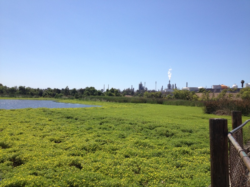 MELROSEandFAIRFAX Ken Malloy Harbor Regional Park Long Beach
