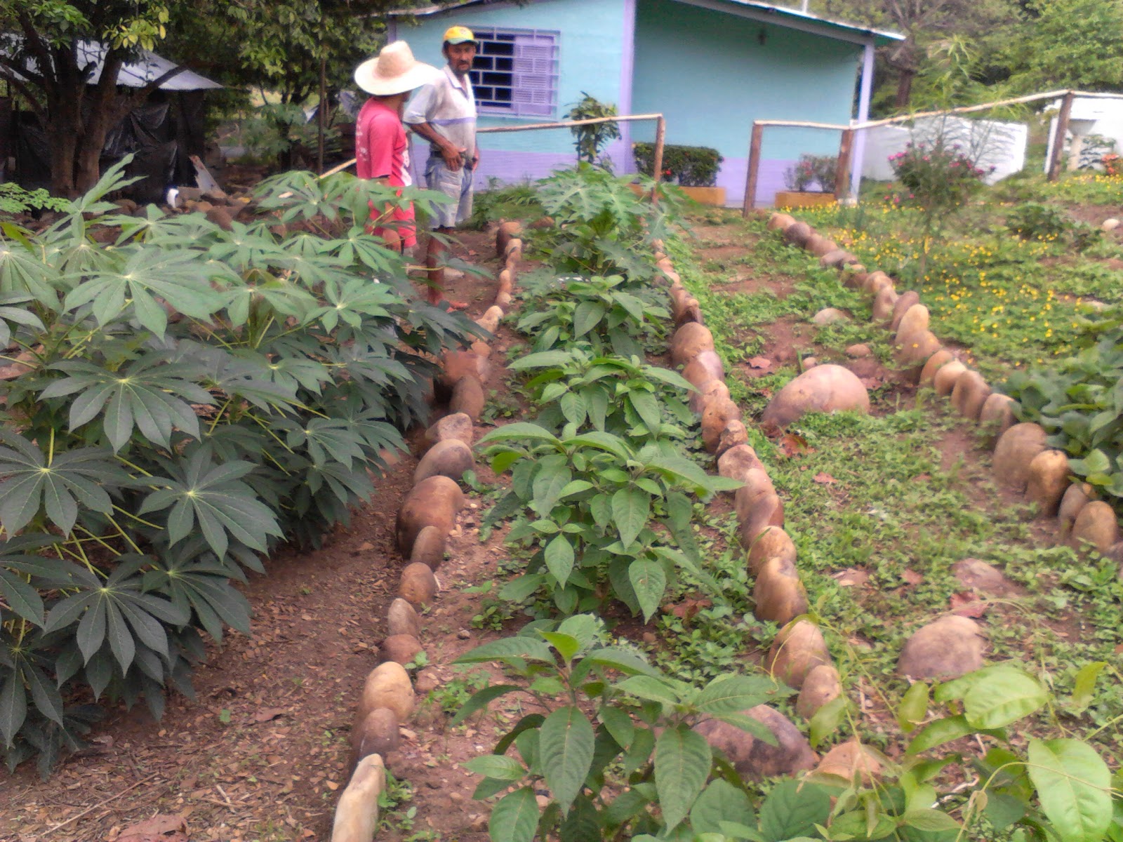 UNA GRANJA INTEGRAL una granja integral: