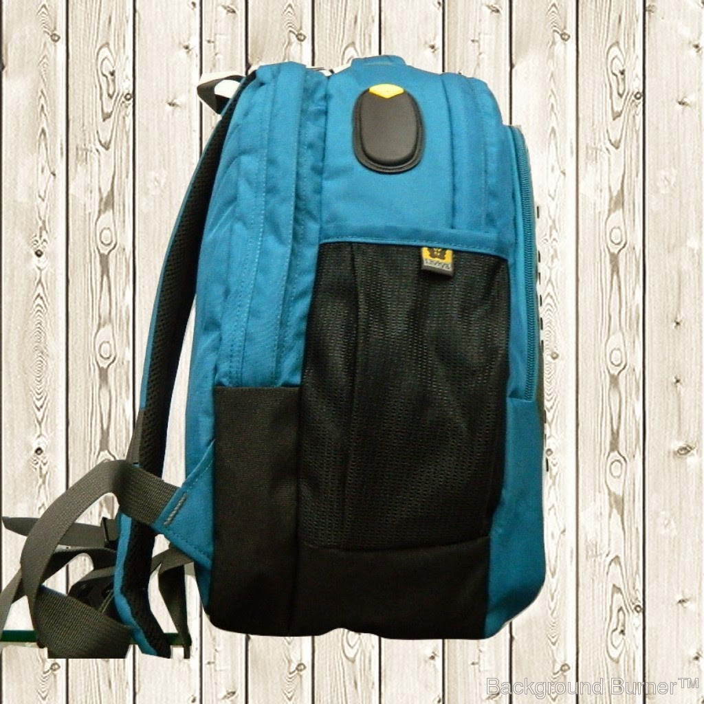 liviya college bags