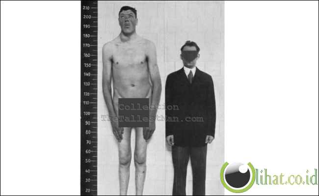 'Kurcaci' Yang Menjadi Raksasa 'Kurcaci' Yang Menjadi Raksasa