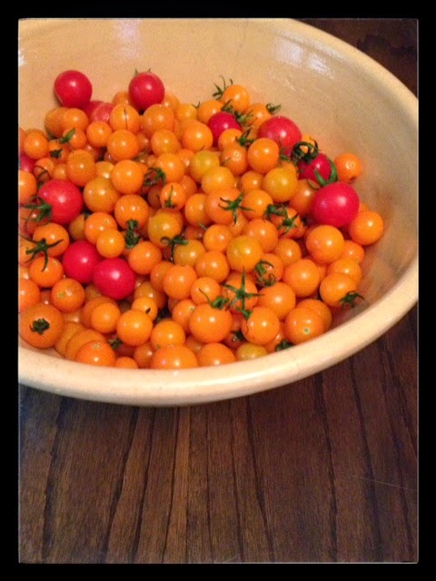 Freshly Picked Heirloom Tomatoes