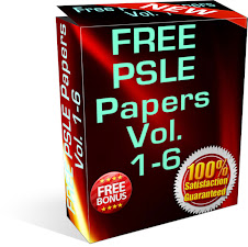 FREE PSLE Papers
