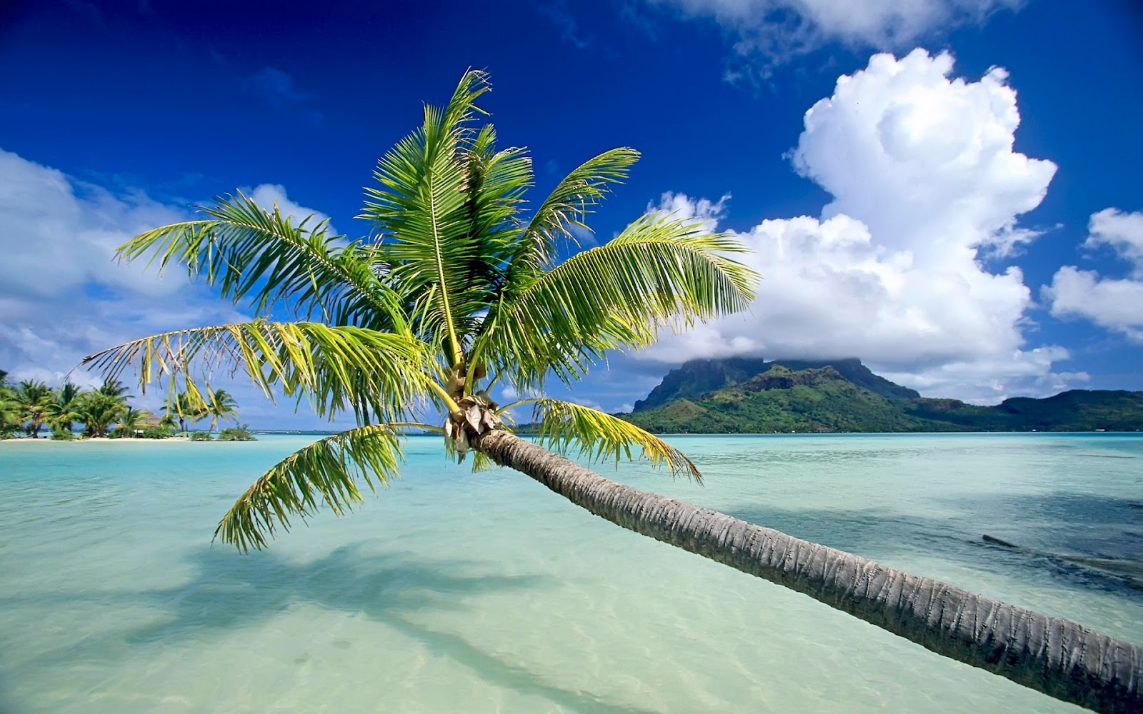 http://4.bp.blogspot.com/-SCfJcCITLgA/UGBpsPfNSrI/AAAAAAAAEqk/3E7e3YGPHUs/s1600/Beach+Wallpapers+(3).jpg