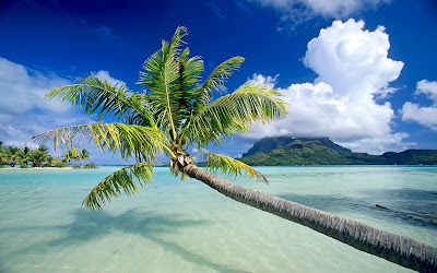 Beach Wallpapers Beach Wallpapers
