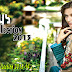Firdous Eid Collection 2013 | Ladies Occasional and Seasonal Collection