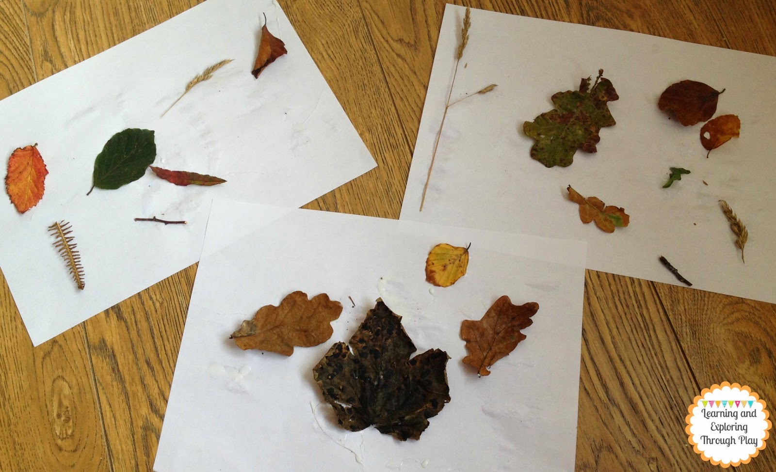 Learning and Exploring Through Play Making beautiful art using leaves