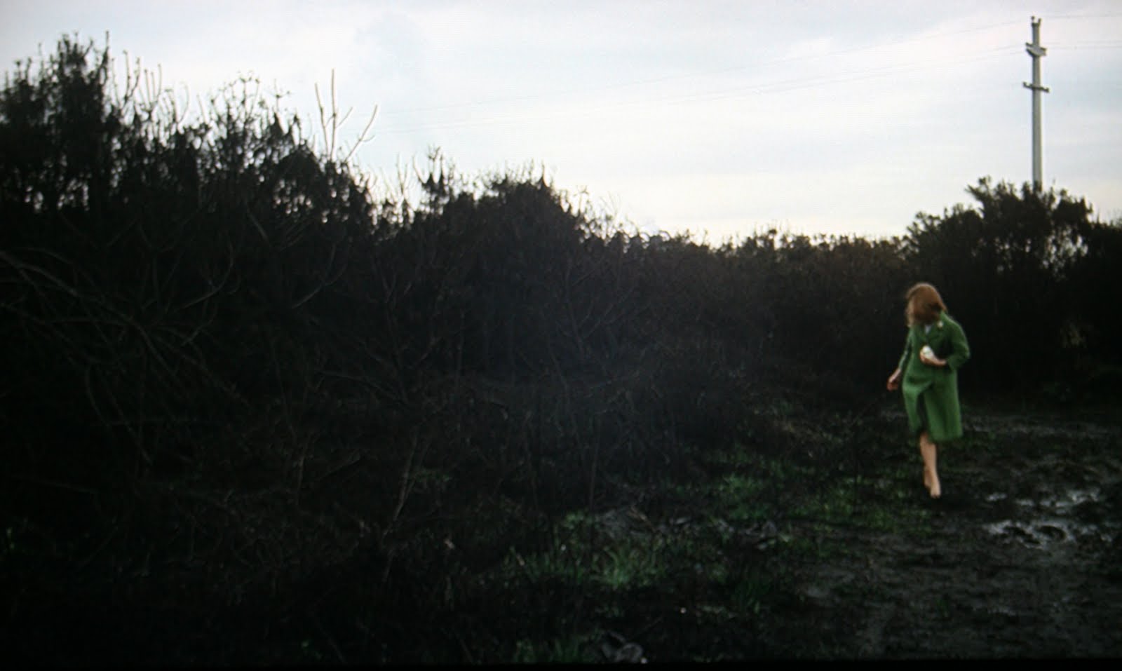 movie stills: red desert