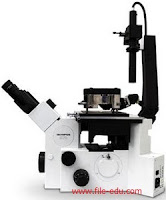 Gamnbar Mikroskop Fase kontras
