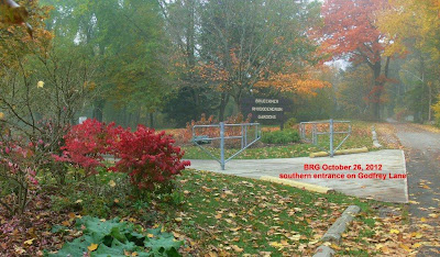 Fall Colors at Godfreys Lane Entrance to the BRG Burning bush and maples add dash of red to garden entrance of BRG at Godfreys Lane in Port Credit.