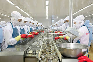 Tuyển 60 nữ chế biến thực phẩm tại Nhật