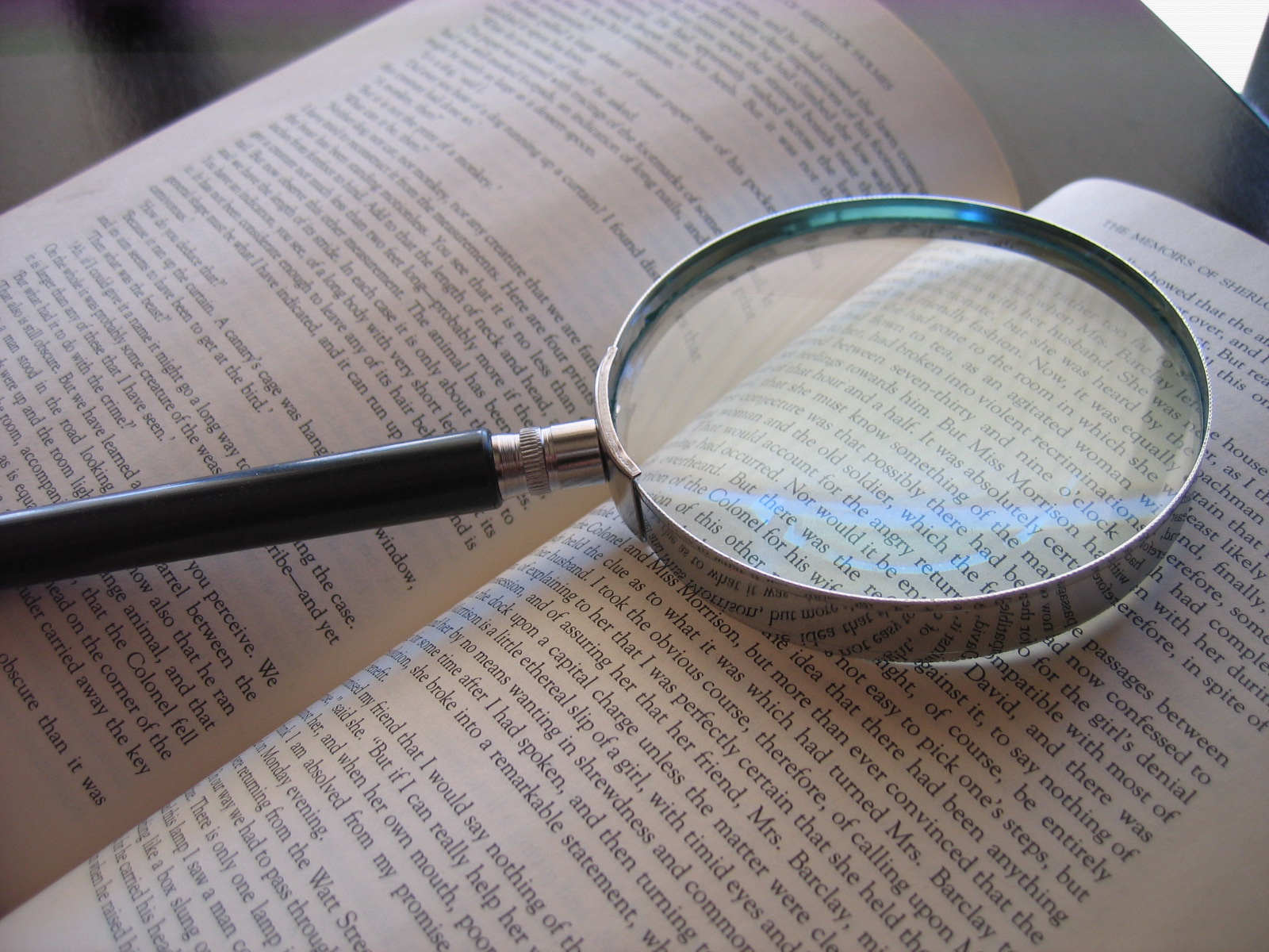 Cemetery Forest Macro Magnifier