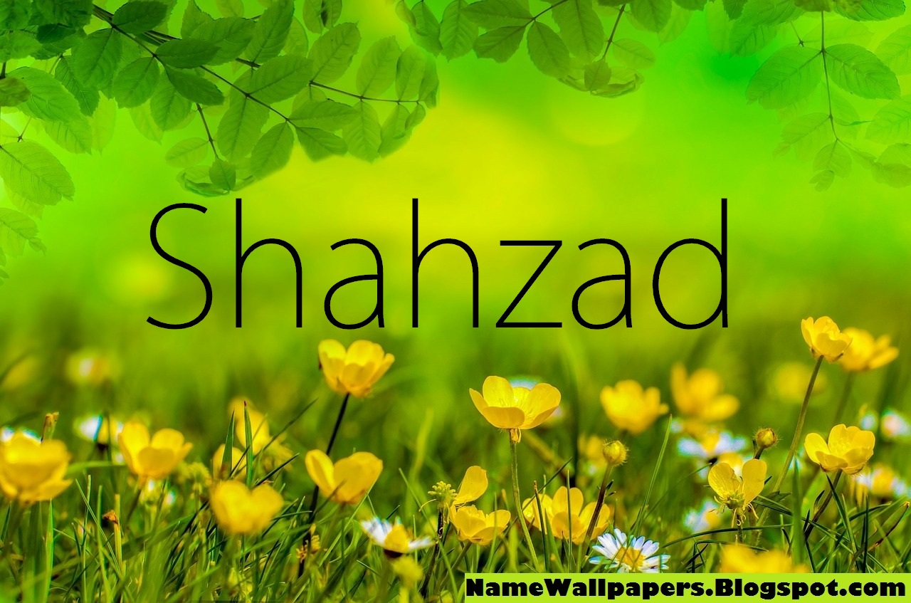 Shahzad Name Wallpapers Shahzad ~ Name Wallpaper Urdu Name Meaning Name  Images Logo Signature