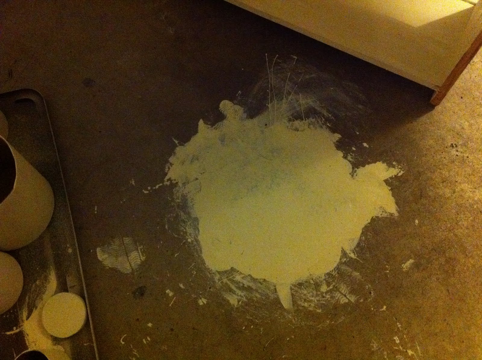 Wishblooms Paint Spill 101...