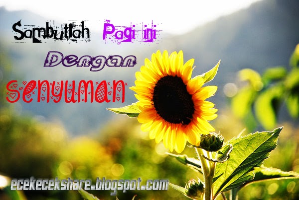 Kumpulan Kata Kata Bijak Pagi Hari Blog Ecek Ecek