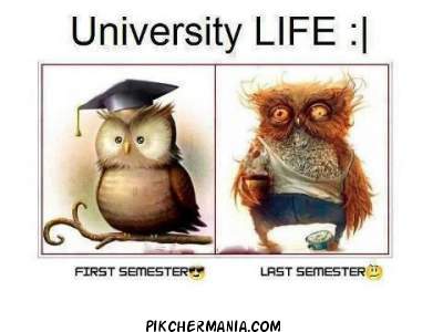 how students look in University Life in first semester and in last semester 