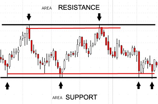 Cara belajar forex yang benar