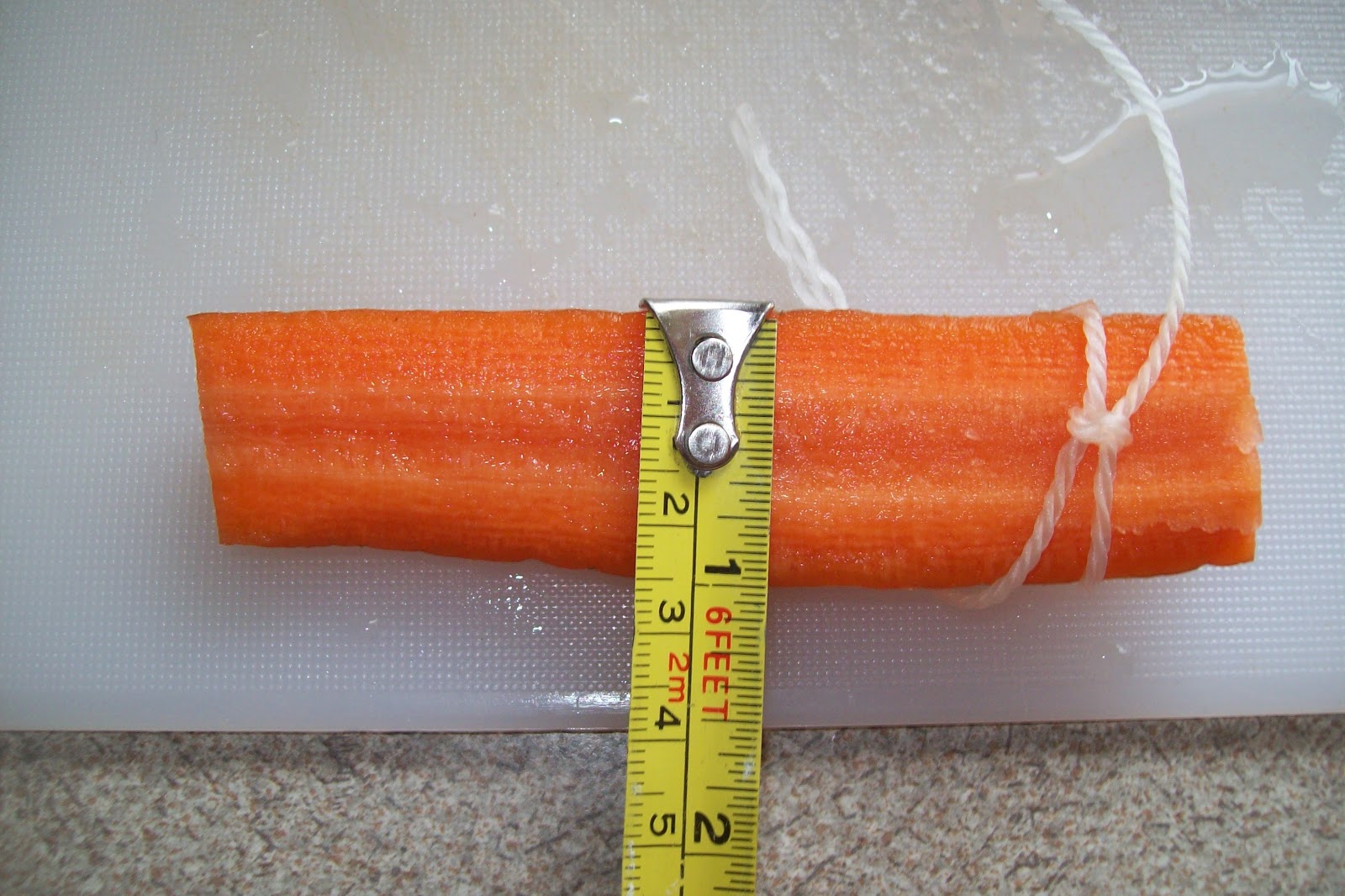 Biology Carrot Lab