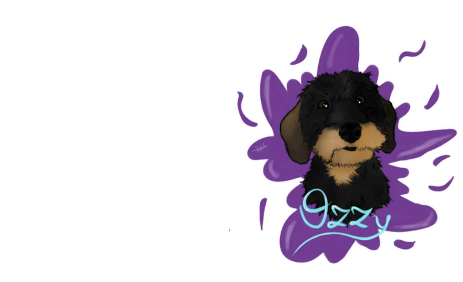 Ozzy the dachshund 