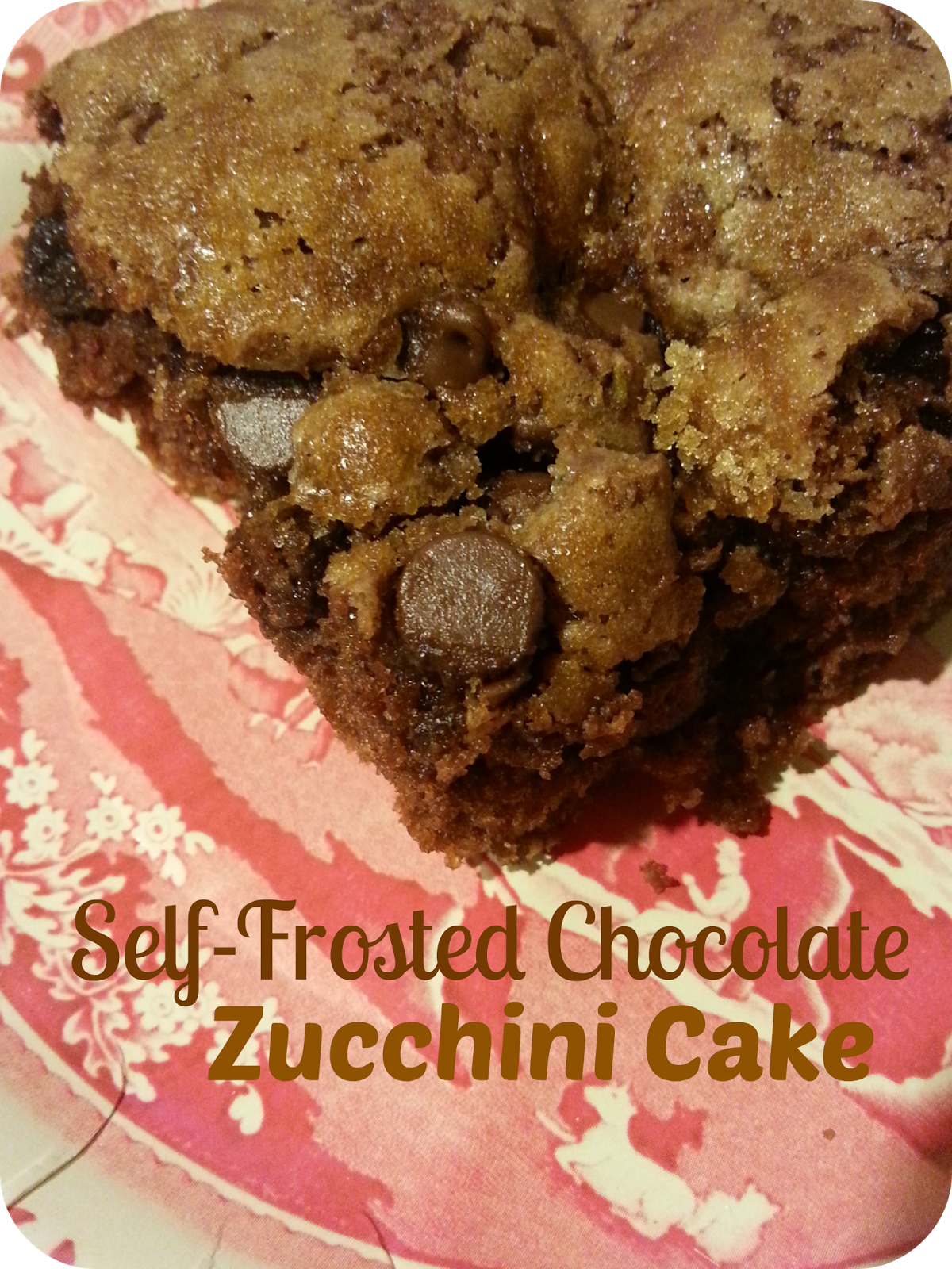 The Better Baker SelfFrosted Chocolate Zucchini Cake