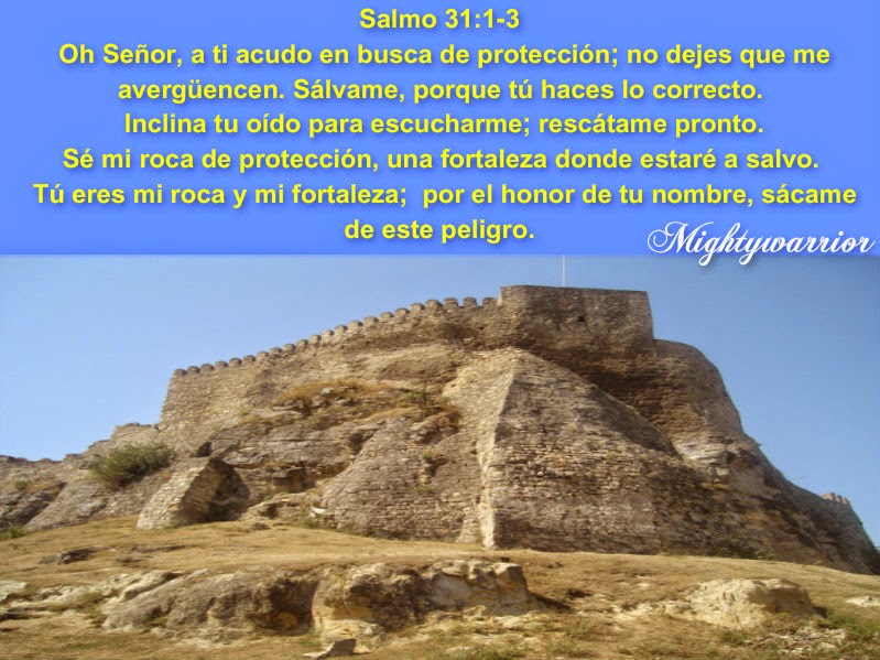 Resultado de imagen para Salmo 31:1
