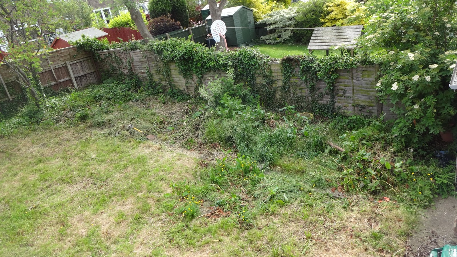 DSC07776.JPG