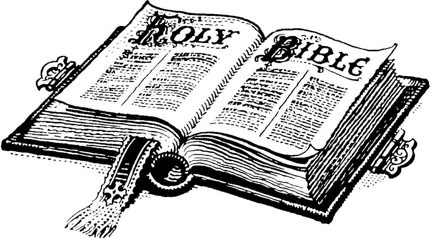 New La Biblia De Las Fuentes Conmutadas Tomo 1 Taringa