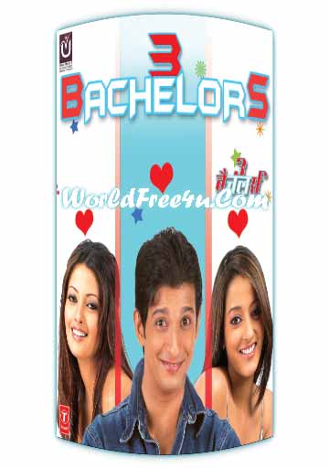 Poster Of Bollywood Movie 3 Bachelors (2012) 300MB Compressed Small Size Pc Movie Free Download worldfree4u.com