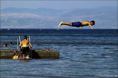 Click on the Image for a Larger View funny_picture_swimming_in_air
