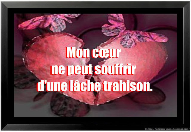 citation trahison citation sur trahison